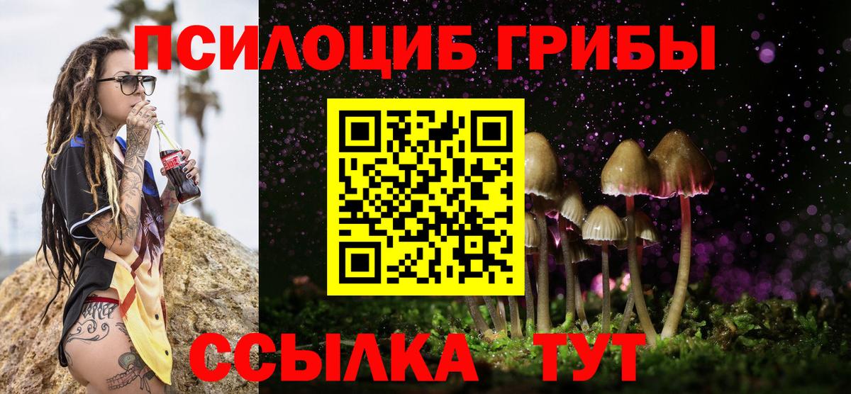 Дальнереченск  Галлюциногенные грибы ЛСД  Псилоцибиновые грибы Cubensis  купить   Вход с VPN 